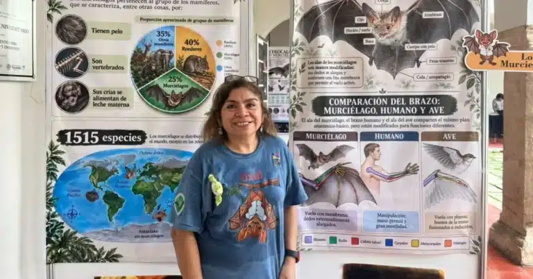 Murciélagos enfrentan creciente amenaza en Yucatán (Foto de cortesía)