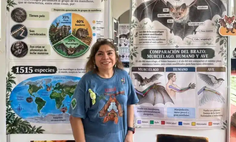 Murciélagos enfrentan creciente amenaza en Yucatán (Foto de cortesía)