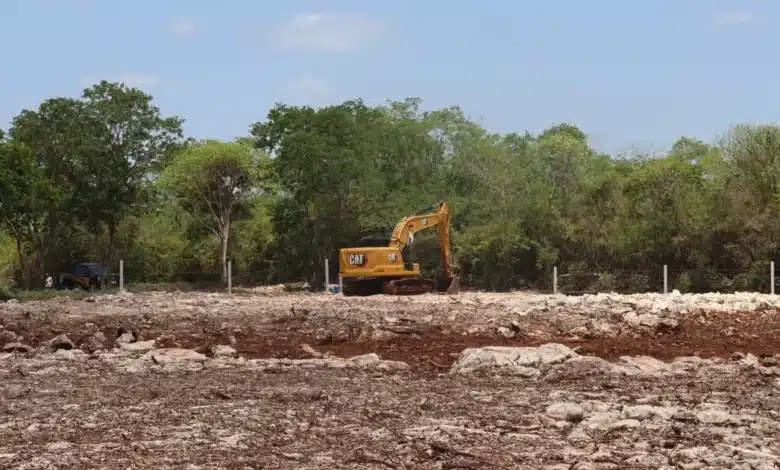 Reserva Cuxtal suma más de 20 denuncias por posibles delitos ambientales (Foto de internet)