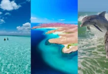 Tres islas de México perfectas para tus próximas vacaciones (Fotos de internet y redes sociales)