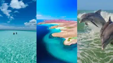 Tres islas de México perfectas para tus próximas vacaciones (Fotos de internet y redes sociales)