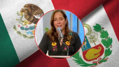 Lydia Antonio de la Garza será embajadora de México en Perú (Fotos de internet)
