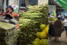 Precios de productos en mercados de Mérida (Foto de Darcet Salazar)