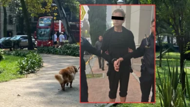 Detienen a presunto envenenador de perros en Condesa, CDMX (Fotos de Daniel Escobar y redes sociales)