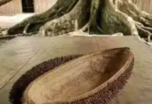 El peine de la Xtabay (Foto de internet)