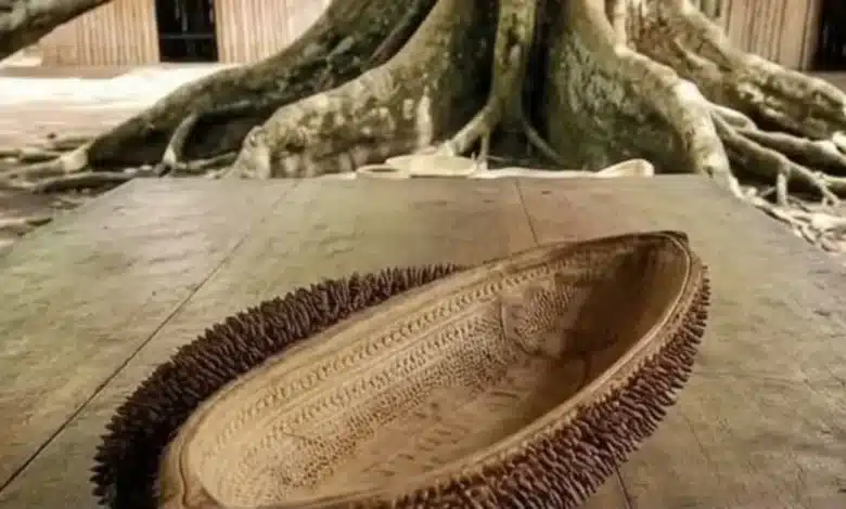 El peine de la Xtabay (Foto de internet)