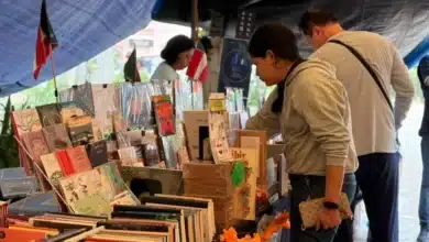 feria del libro lleva la cultura maya y el día de muertos a la plaza grande