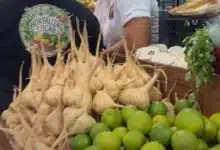 frutas de temporada en mérida ventas podrían triplicarse por hanal pixán