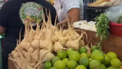 frutas de temporada en mérida ventas podrían triplicarse por hanal pixán