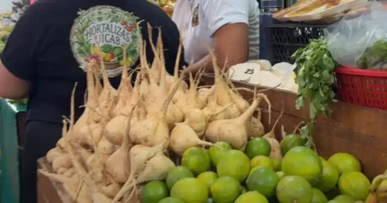 frutas de temporada en mérida ventas podrían triplicarse por hanal pixán