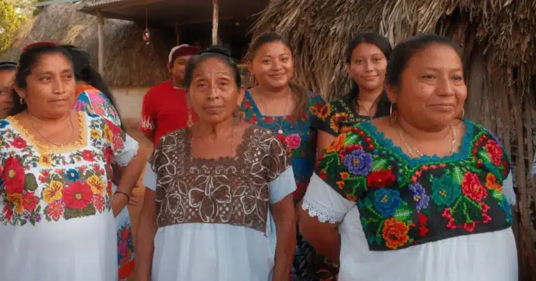 la vergüenza de ser milpero amenaza la transmisión de conocimientos mayas