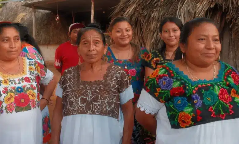 la vergüenza de ser milpero amenaza la transmisión de conocimientos mayas