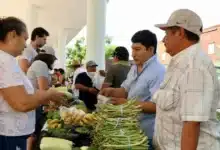 más de 600 productores llegarán al mercado renacer