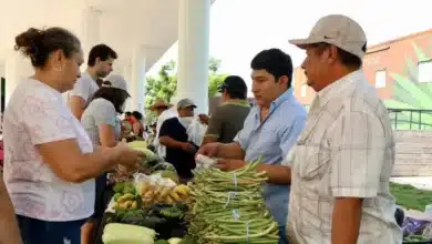más de 600 productores llegarán al mercado renacer