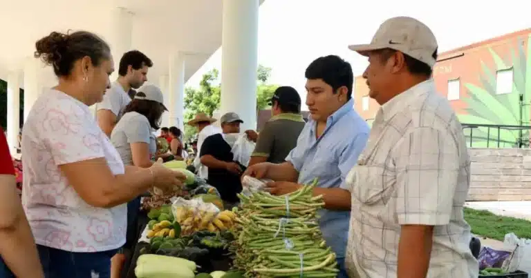 más de 600 productores llegarán al mercado renacer