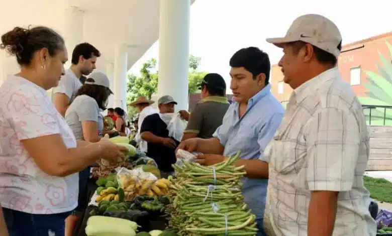 más de 600 productores llegarán al mercado renacer