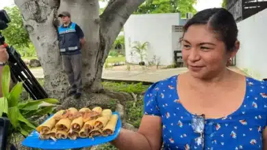 mercado de cordemex ofrecerá tacos de la cocina yucateca