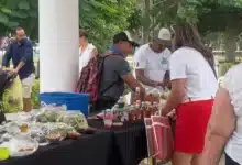 mercado renacer del campo yucateco llegará este viernes a la plancha