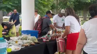 mercado renacer del campo yucateco llegará este viernes a la plancha