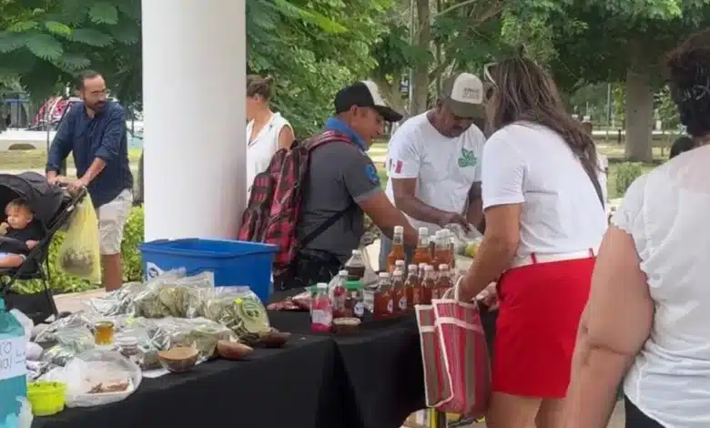 mercado renacer del campo yucateco llegará este viernes a la plancha
