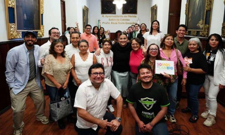 mérida aprueba nuevo reglamento para proteger a los animales