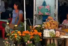 mérida renovará 30 permisos para vendedores ambulantes de temporada