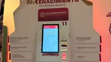 módulos renacimiento qué trámites puedes realizar en yucatán