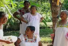 mujeres mayas educan para vivir sin violencia