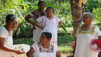 mujeres mayas educan para vivir sin violencia