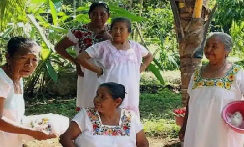 mujeres mayas educan para vivir sin violencia