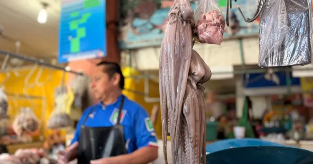 pulpo podría subir hasta 40 en yucatán durante noviembre (1)
