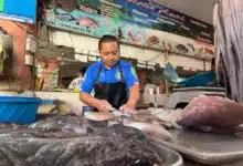 pulpo podría subir hasta 40 en yucatán durante noviembre