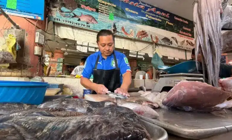pulpo podría subir hasta 40 en yucatán durante noviembre