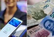 Senado reconoce que 8 de cada 10 comercios en México utilizan efectivo