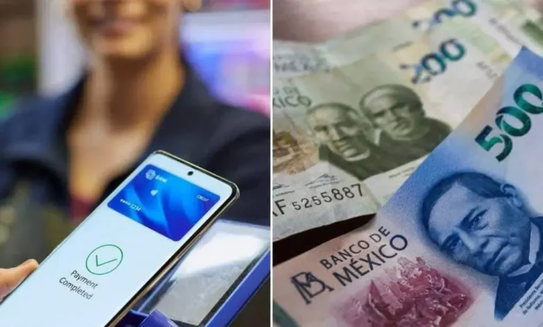 Senado reconoce que 8 de cada 10 comercios en México utilizan efectivo