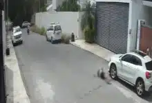 ssp investiga ataque armado en montes de amé, mérida