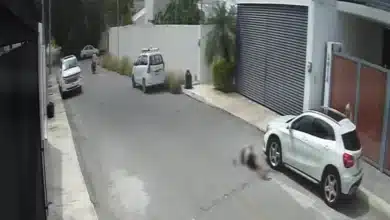 ssp investiga ataque armado en montes de amé, mérida