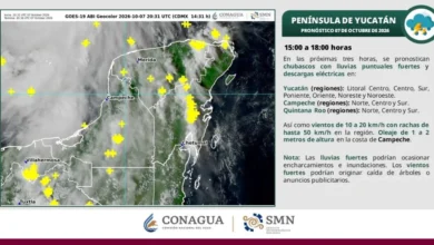 suspensión de clases por isaías yucatán y puebla anuncian medidas para este jueves 8 de octubre