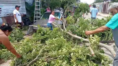 vecinos del sur de mérida refuerzan viviendas ante lluvias y vientos por isaías