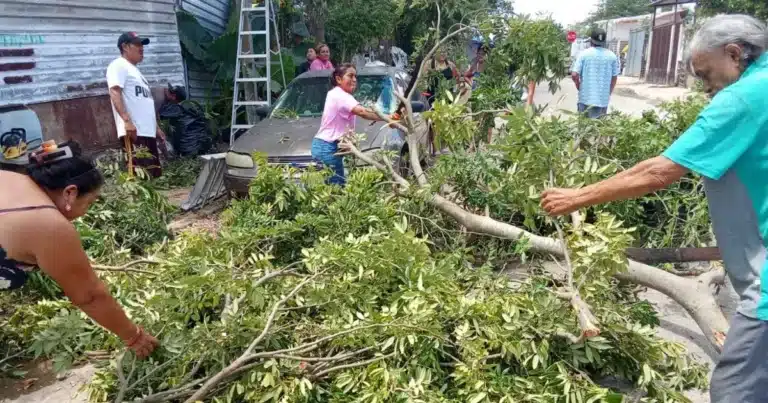 vecinos del sur de mérida refuerzan viviendas ante lluvias y vientos por isaías