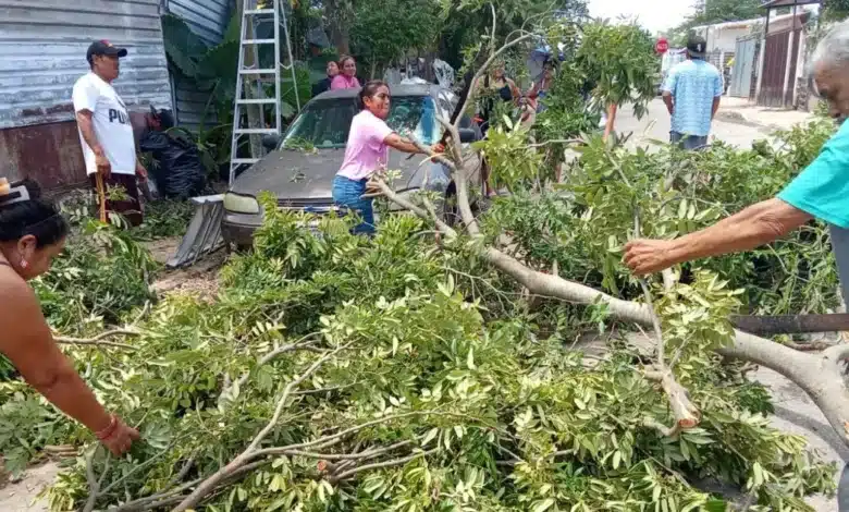 vecinos del sur de mérida refuerzan viviendas ante lluvias y vientos por isaías