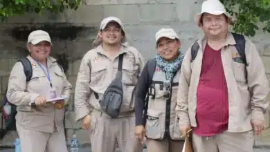 yucatán cubrirá gastos de camino al 100% para 502 trabajadores de vectores
