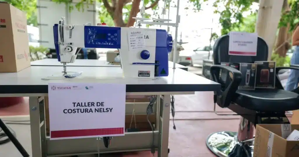 yucatán destina 4.5 millones de pesos a 164 negocios de autoempleo en 28 municipios (1)