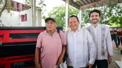 yucatán destina 4.5 millones de pesos a 164 negocios de autoempleo en 28 municipios
