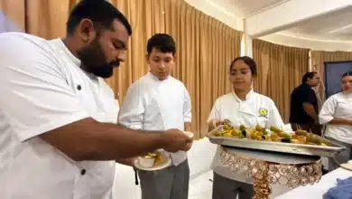 yucatán ocupa el quinto lugar nacional en producción de huevo