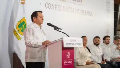 yucatán prepara registro estatal para detectar a personas con autismo en los 106 municipios
