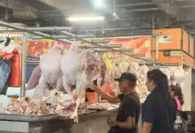 yucatecos se adelantan al aumento del pavo y ya lo compran para congelarlo