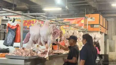 yucatecos se adelantan al aumento del pavo y ya lo compran para congelarlo