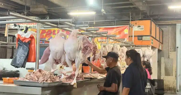 yucatecos se adelantan al aumento del pavo y ya lo compran para congelarlo
